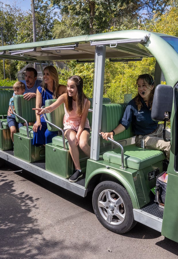 cart tour
