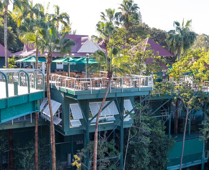 treetops exterior