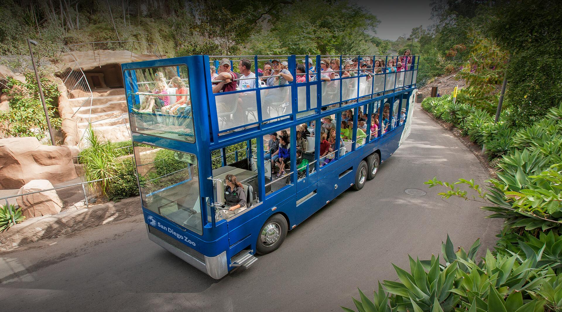 Guided Bus Tour