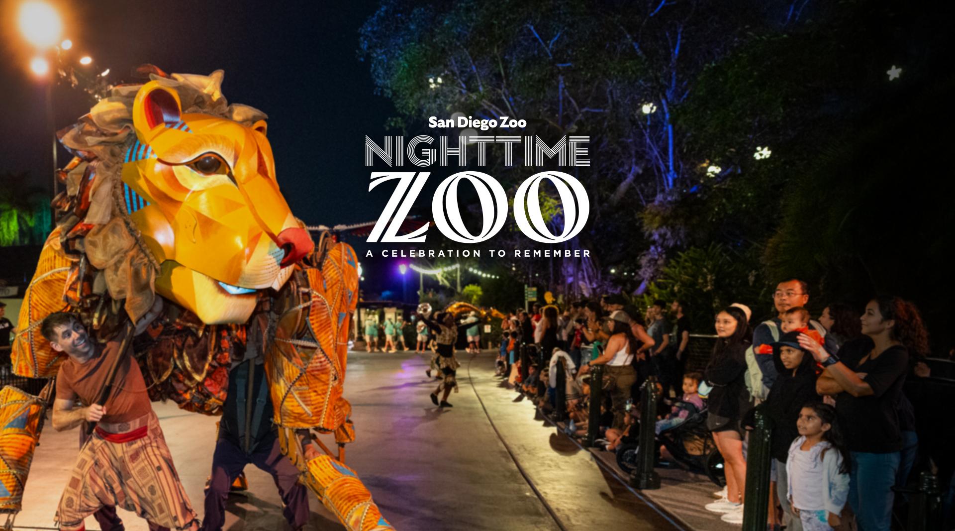 San Diego Zoo Nighttime Zoo A celebration to remember